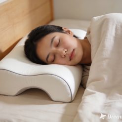 Bamboo Charcoal Pillow